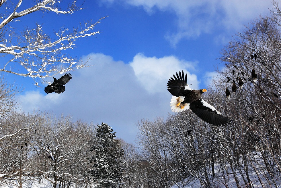 Embetsu, Hokkaido