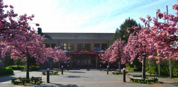 Kirschblüten vor der Japanischen Internationalen Schule Frankfurt am Main