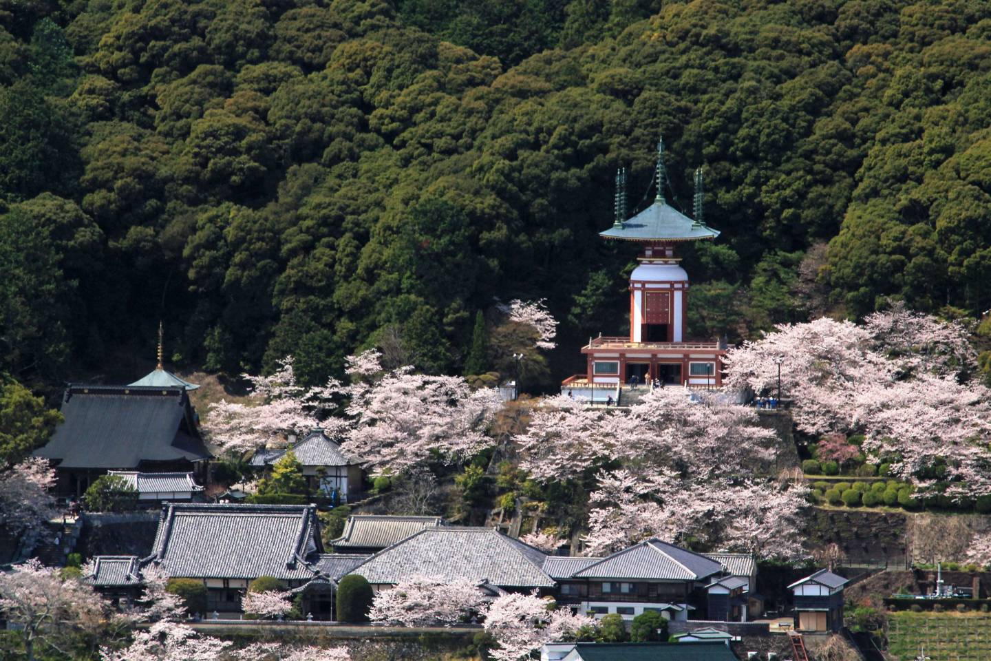 Yakuoji