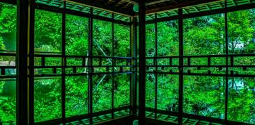 Seirin-ji Tempel, Blick ins Grüne, leuchtende Farbe