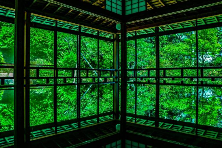 Seirin-ji Tempel, Blick ins Grüne, leuchtende Farbe