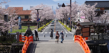 Brücke mit rotem Gelände beim Takeda-Schrein, Kirschblüten