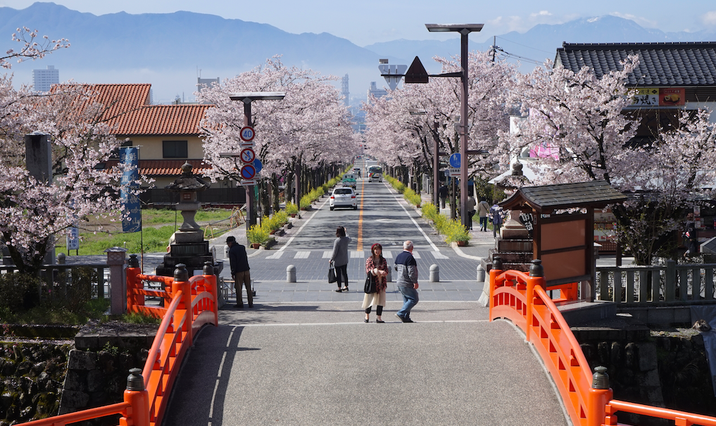 Brücke mit rotem Gelände beim Takeda-Schrein, Kirschblüten