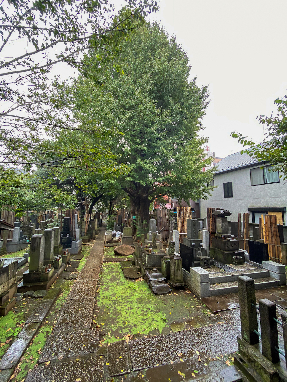 Friedhof vor dem Tempel Kōkoku-ji, hohe buddhistische Grabsteine, grüne Bäume, nasser Asphalt