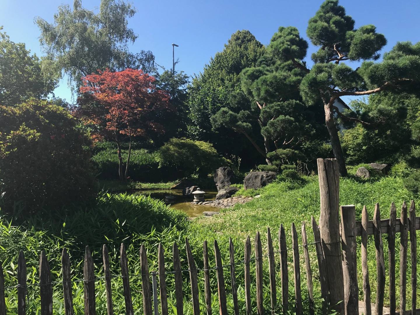 Der Japangarten in Bietigheim-Bissingen.