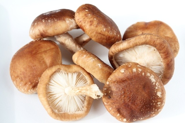 Shiitake