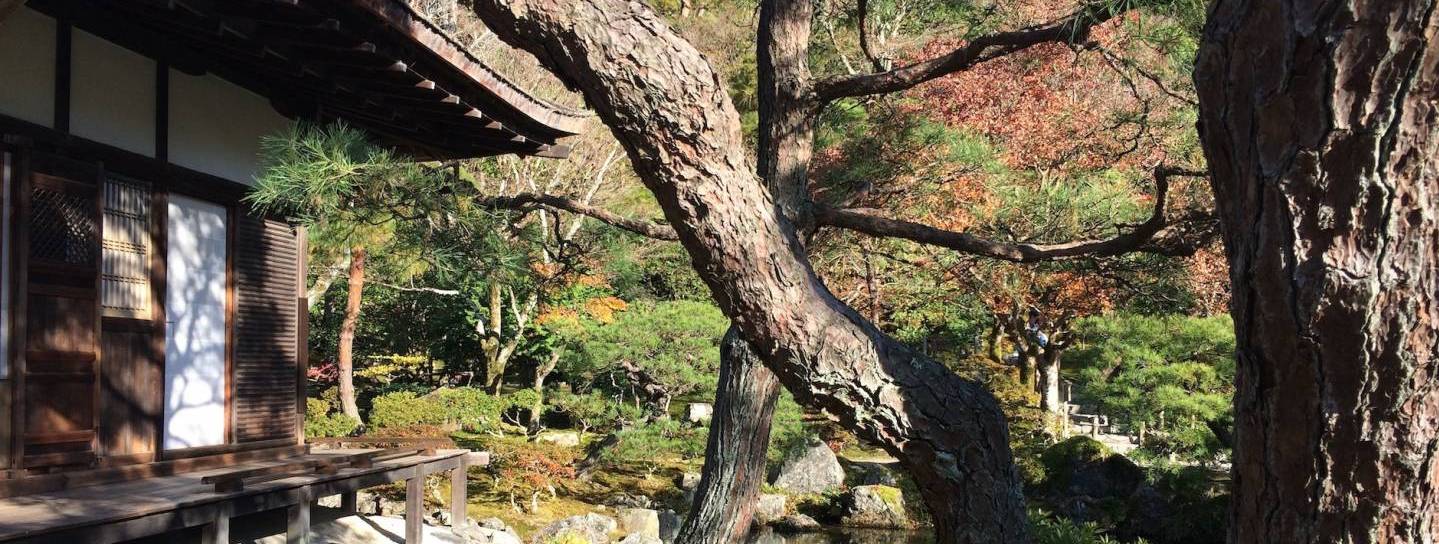 Herbstlaub in einem japanischen Tempel