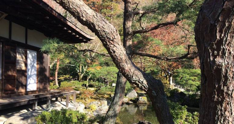 Herbstlaub in einem japanischen Tempel