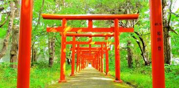 Fushimi Inari-Schrein in Sapporo.