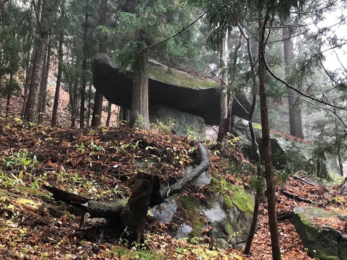 Megalith in Tono