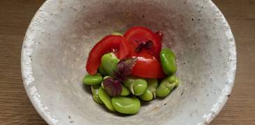 Entrée aus Tomaten und Saubohnen in Tonschüsselchen