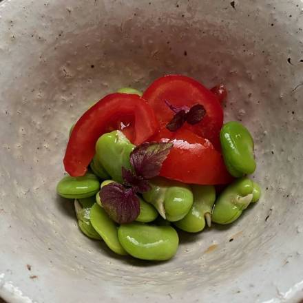 Entrée aus Tomaten und Saubohnen in Tonschüsselchen