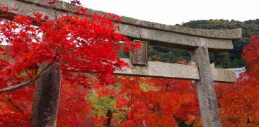 Schrein im Herbst