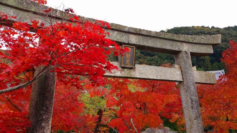 Schrein im Herbst