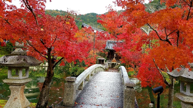 Eikando in Kyoto
