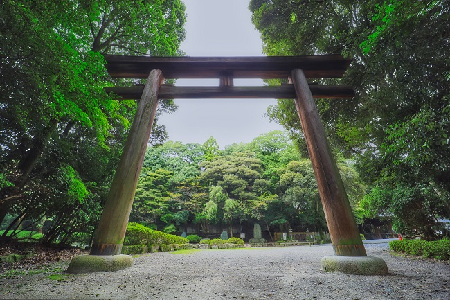 Torii