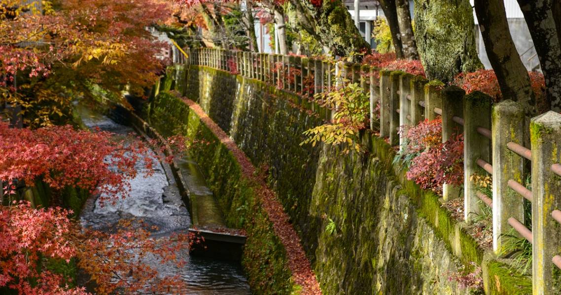 Herbstlaub entlang des Enako-Flusses