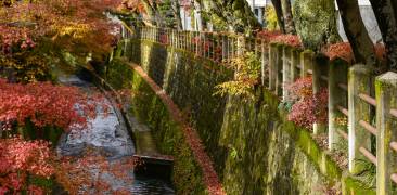 Herbstlaub entlang des Enako-Flusses