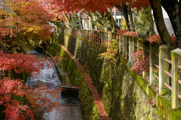 Herbstlaub entlang des Enako-Flusses