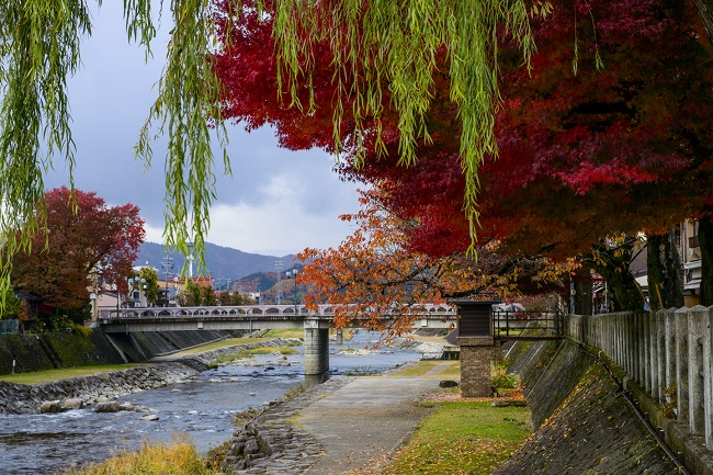 Herbstlaub Takayama