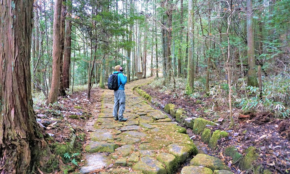 Nakasendo