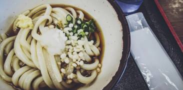 Sanuki Udon