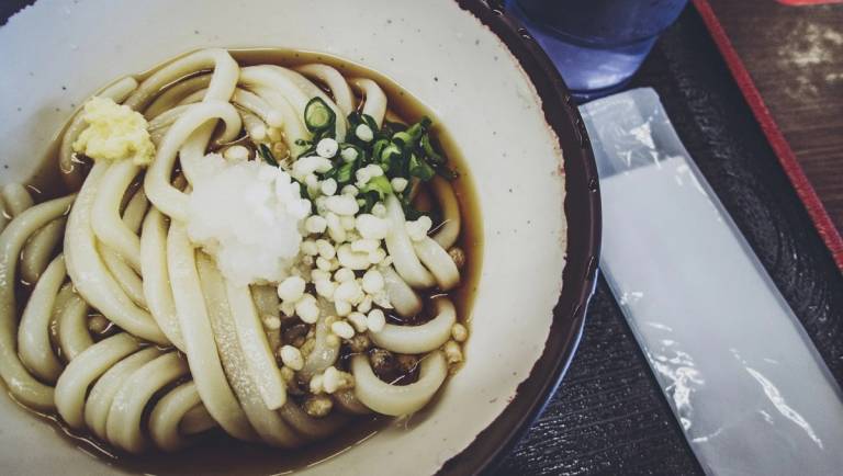 Sanuki Udon