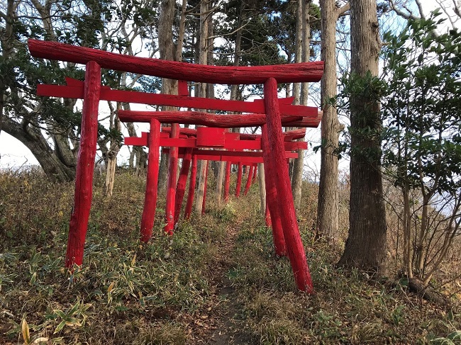 Torii,