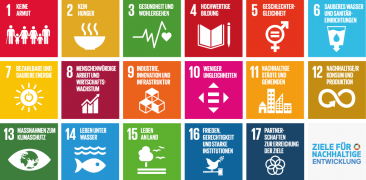 Die 17 Ziele für nachhaltige Entwicklung: Kachelbild
