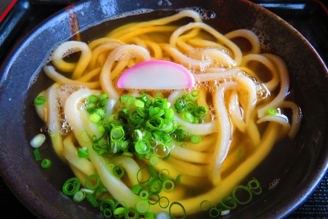 Sanuki Udon