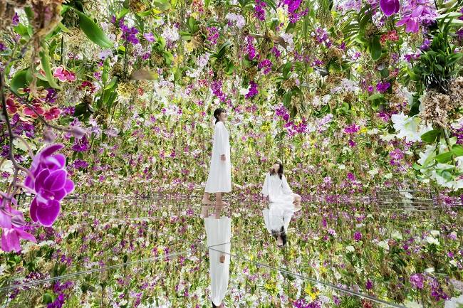 teamLab Planets TOKYO © teamLab