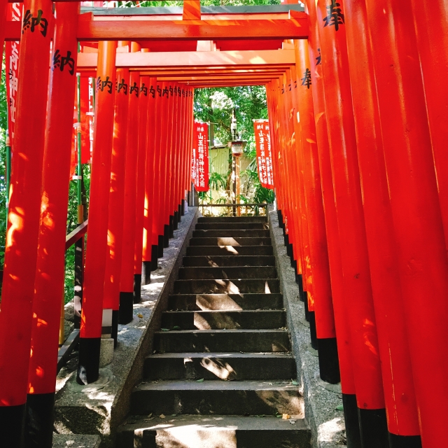 Torii-Tore des Hie-Schreins.