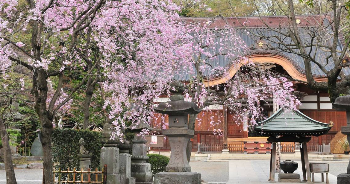 Der Jindaiji-Tempel in Chōfu, Tōkyō.