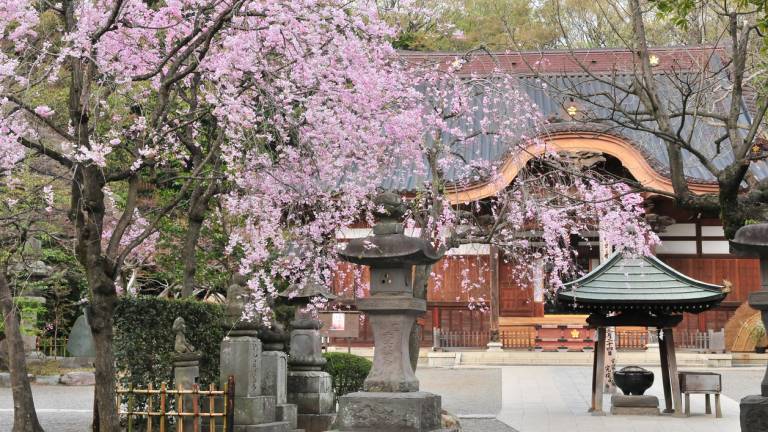 Der Jindaiji-Tempel in Chōfu, Tōkyō.