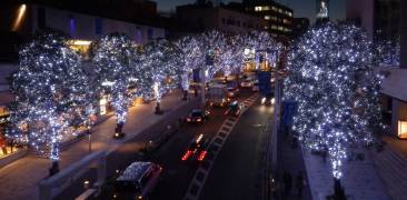 Die Keyakizaka-Straße in Roppongi im Winter.