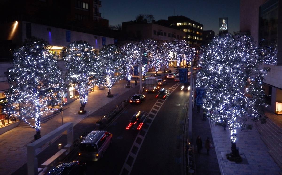 Eintauchen in das Nachtleben Tōkyōs: Roppongi & Akasaka