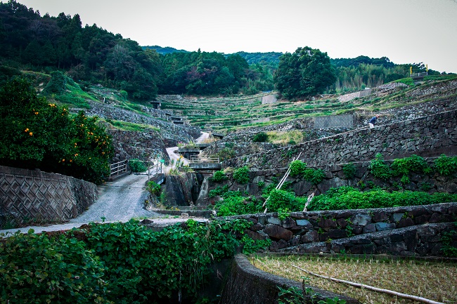 Wie Treppen angelegte Terrassenfelder in Shimabara (Nagasaki)