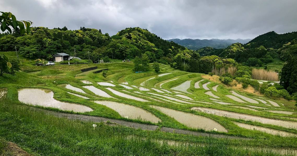 Terrassenfelder in der Präfektur Chiba