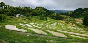 Terrassenfelder in der Präfektur Chiba