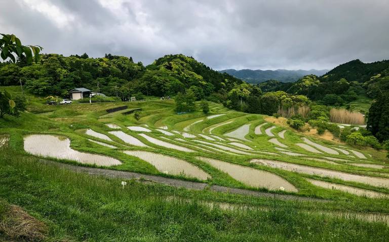 Terrassenfelder in der Präfektur Chiba