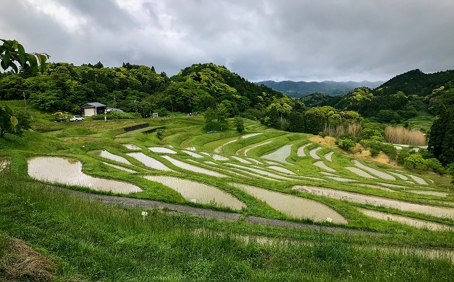 Terrassenreisfelder in Chiba bei Tageslicht vor wolkigem Himmel