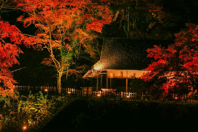 Beleuchtete Herbstbäume und Pavillon am Abend