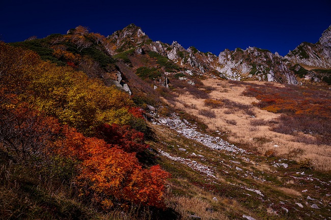 Mit Herbstlaub bedeckte Felsen vor dunkelblauem Himmel