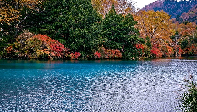 Blauer See mit herbstlichen Bäumen und Bergen im Hintergrund