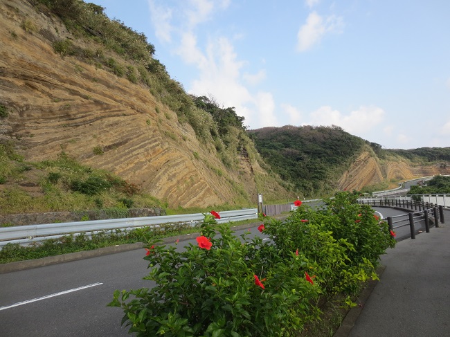 Landstraße auf der Insel Oshima