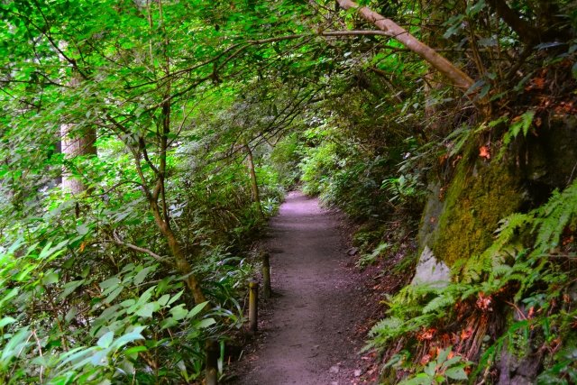 Takao Wanderweg