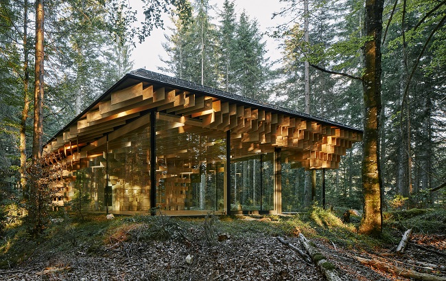 Sonnendurchflutetes Meditation House mitten im Wald