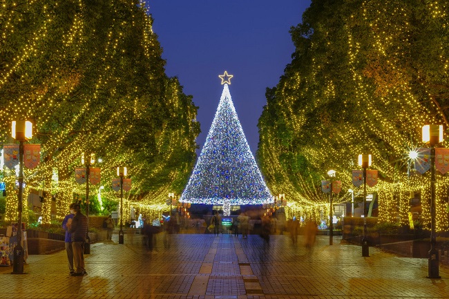 Erleuchteter Weihnachtsbaum und mit Lichterketten behängte Bäume in Tama