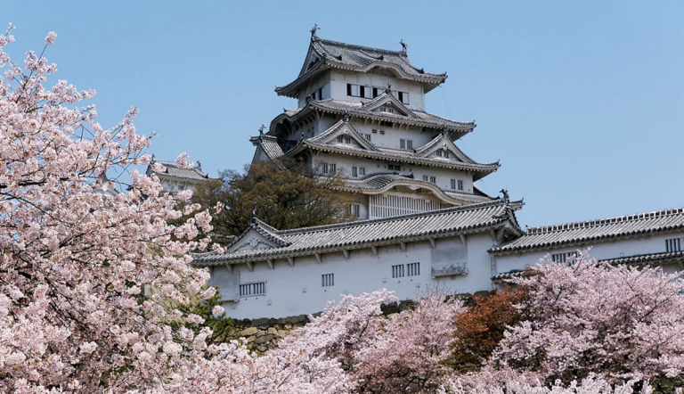 Die berühmte Burg Himeji im Frühling.