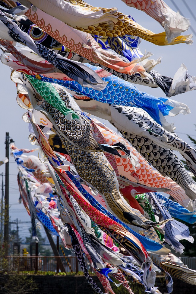 Koi-Flaggen in Taiki (Hokkaido)